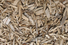 biomass boilers Easthouses